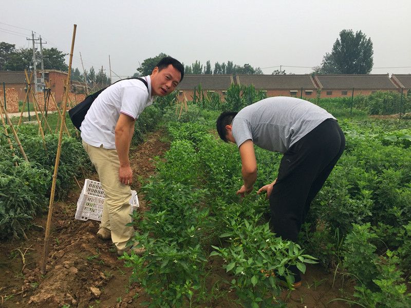 好利來(lái)郭總喊您來(lái)摘菜啦！綠色無(wú)公害，放心！