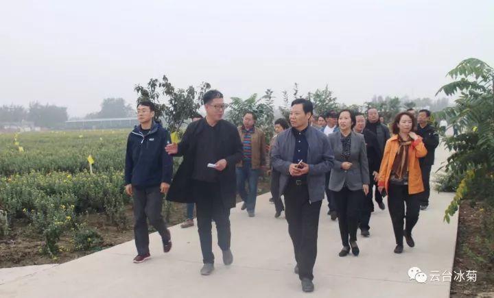 云臺冰菊基地發(fā)生了什么？一批批領(lǐng)導(dǎo)專家團(tuán)隊(duì)前來！